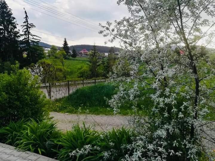 Pensiunea Valurile Bistritei Ватра-Дорней Екстер'єр фото